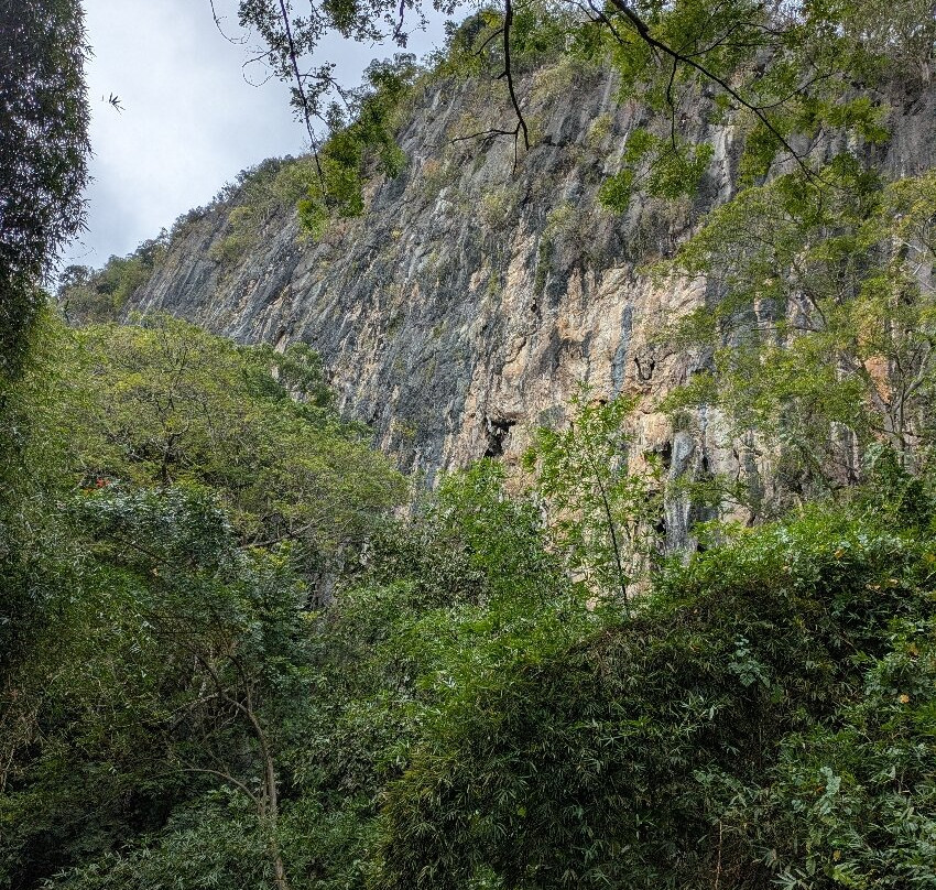 Sigatoka River Safari-辛加东卡必去景点