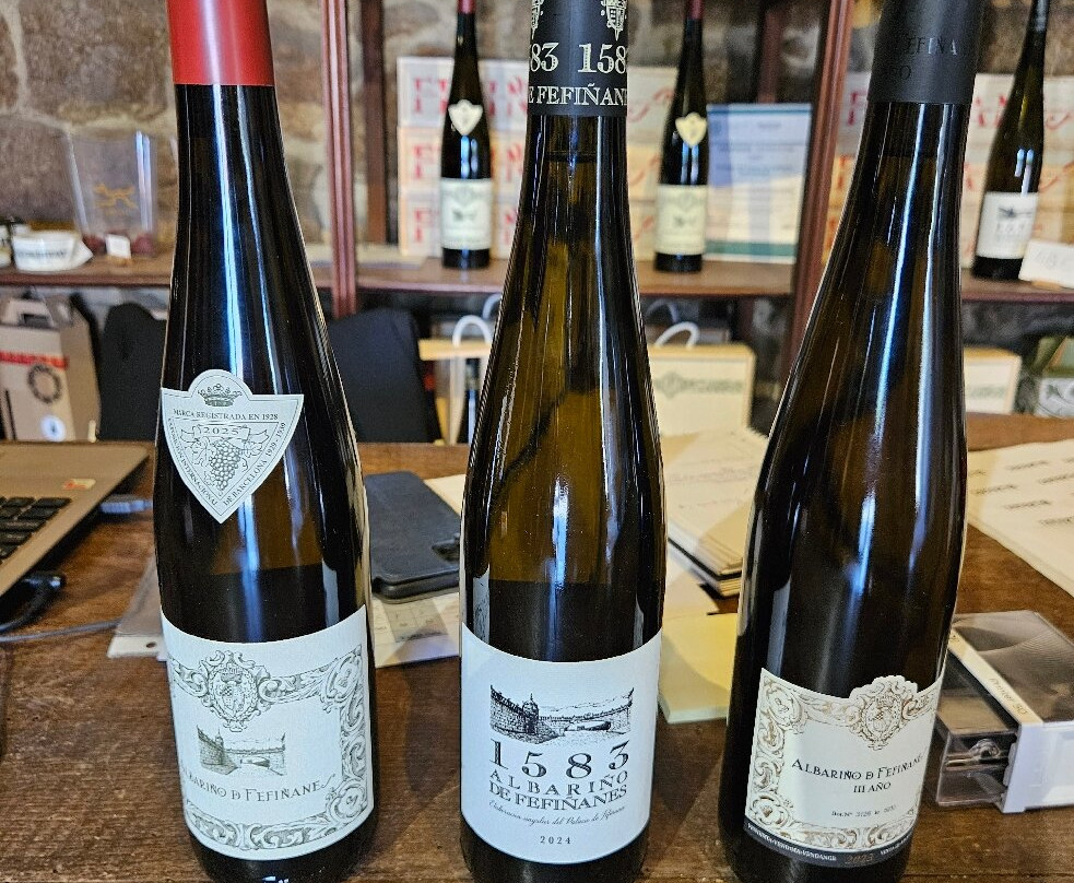 Bodegas del Palacio de Fefinanes-Cambados必去景点
