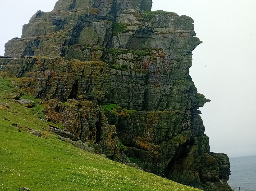 Skellig Falcon-Ballinskelligs必去景点