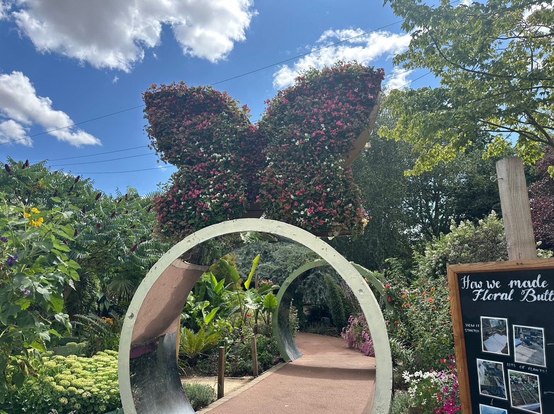 Stratford Butterfly Farm-埃文河畔斯特拉特福必去景点
