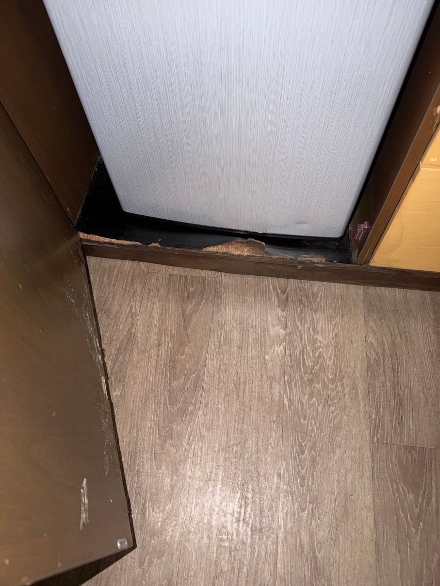 奥兰治郡机场拉昆塔温德姆套房酒店-客卧