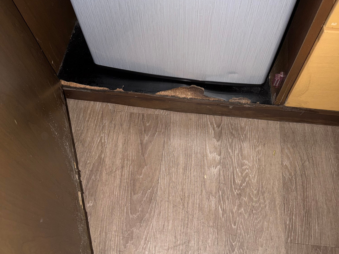 奥兰治郡机场拉昆塔温德姆套房酒店主图