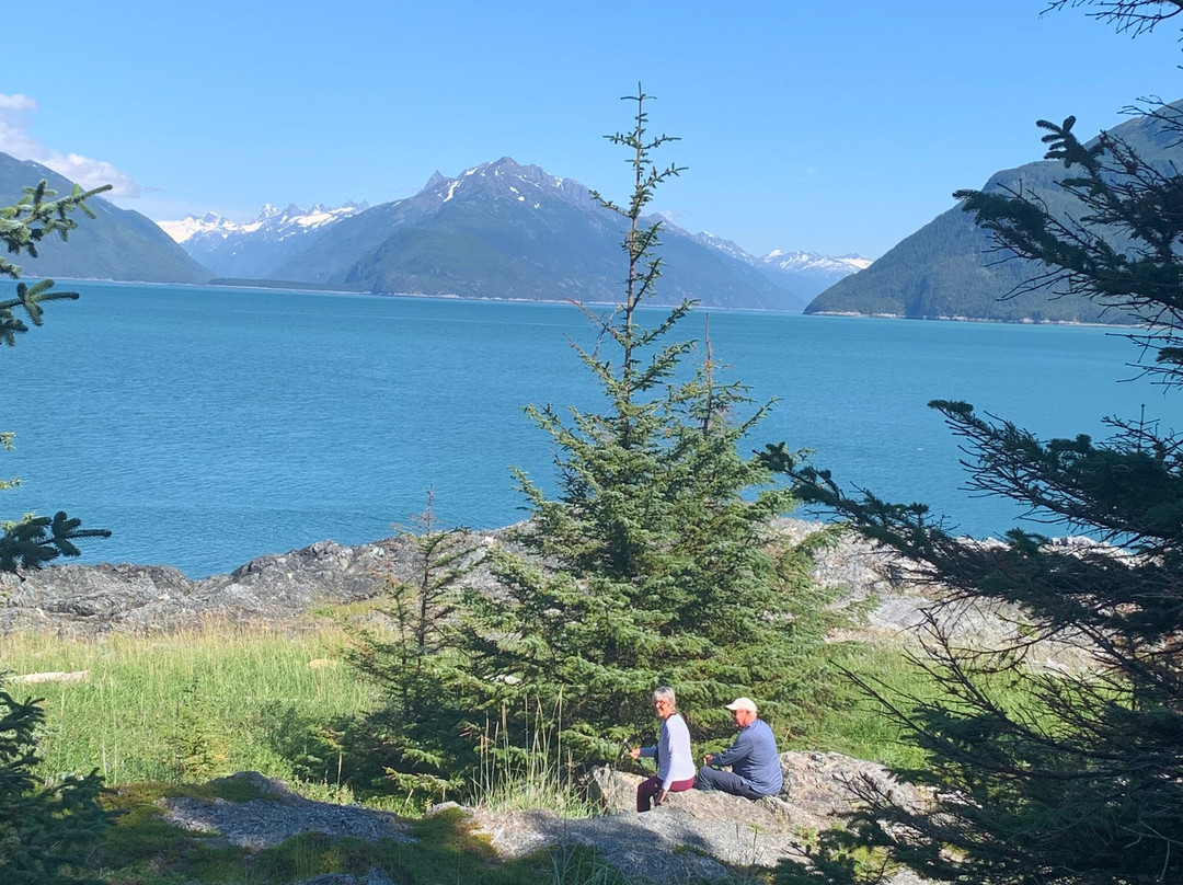 Chilkat Bald Eagle Preserve-海恩斯必去景点