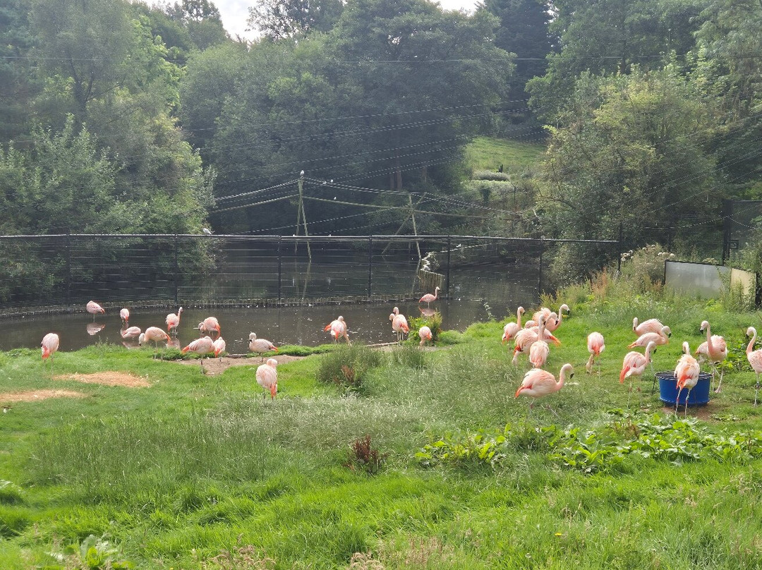 Belfast Zoo-Newtownabbey必去景点