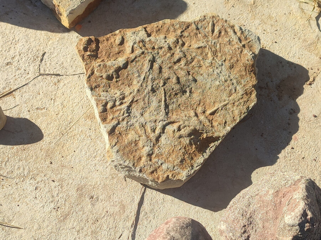 Subeng Dinosaur Foot Prints-Leribe District必去景点