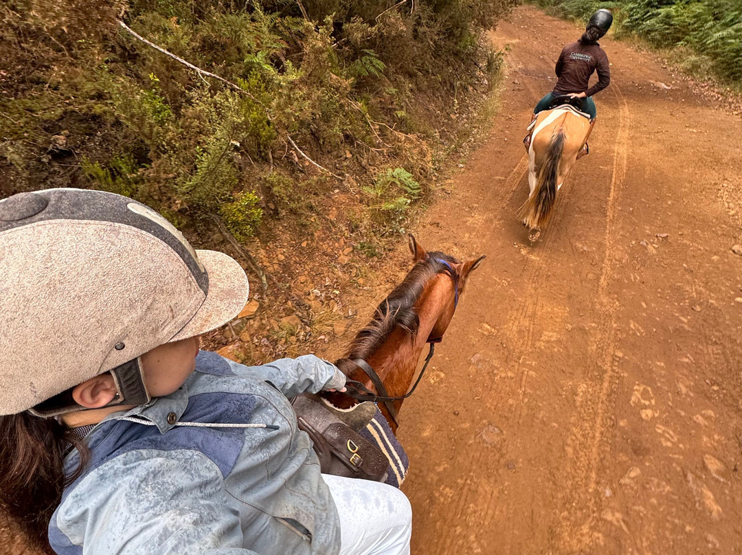 Equine Village by Quinta do Riacho-Santo da Serra必去景点