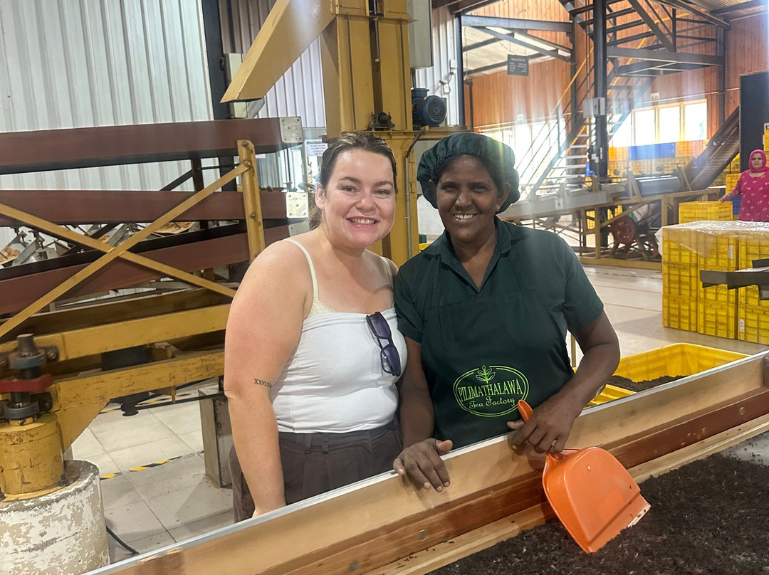 Pilimathalawa Tea Factory-Pilimathalawa必去景点