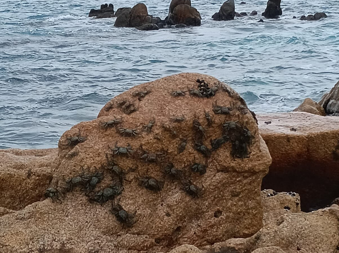 Playa Las Viudas-卡波圣卢卡斯必去景点