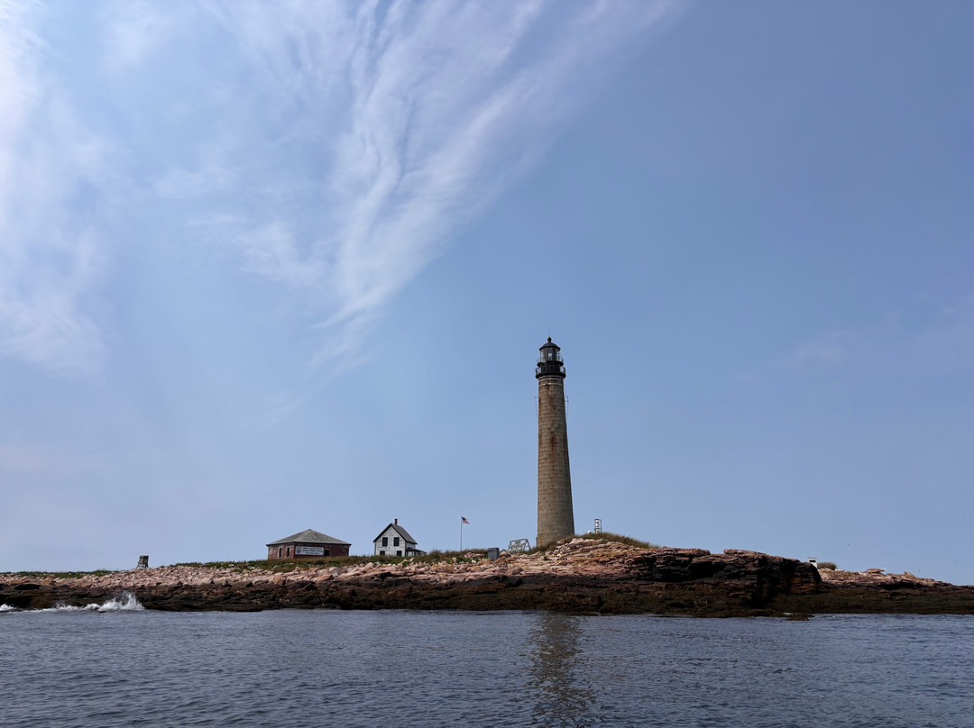 Robertson Sea Tours & Adventures-Milbridge必去景点