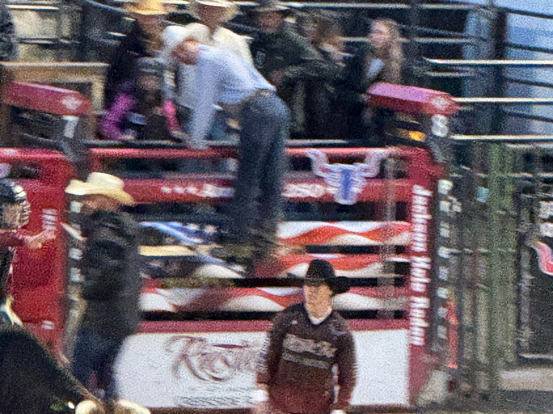 Jackson Hole Rodeo-杰克逊必去景点