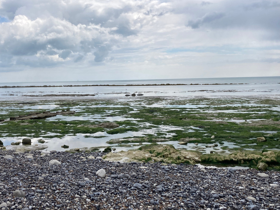 Holywell Retreat Beach-伊斯特本必去景点