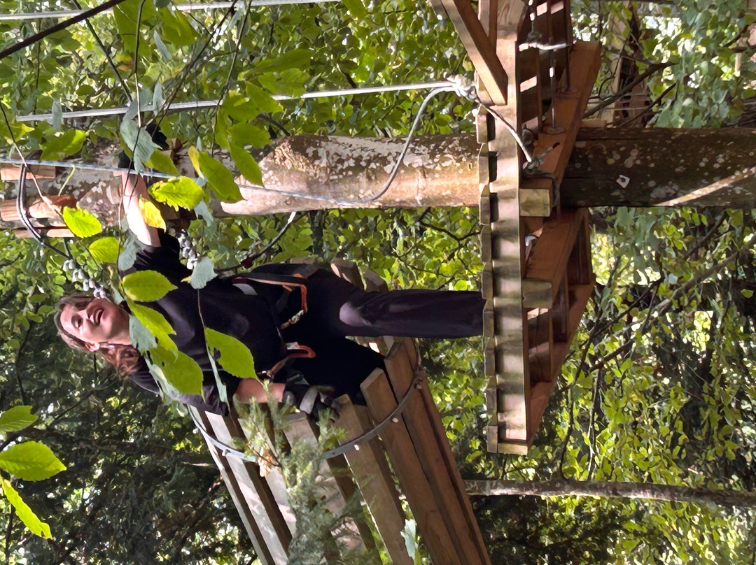 Parc Aventure Chaumont-Chaumont-de-Pury必去景点