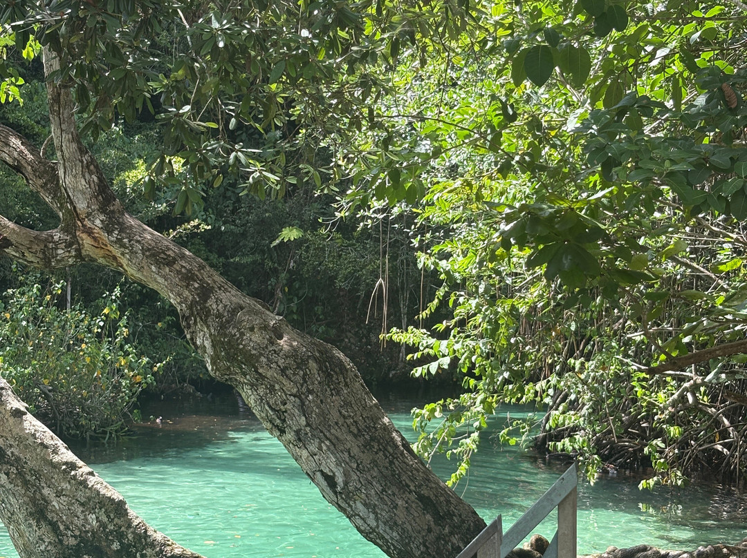 Playa Rincon-萨马纳半岛必去景点