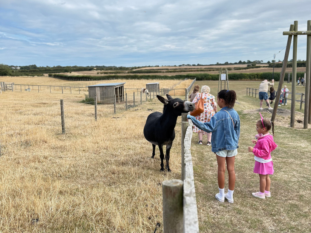 Playdale Farm Park-斯卡伯勒必去景点