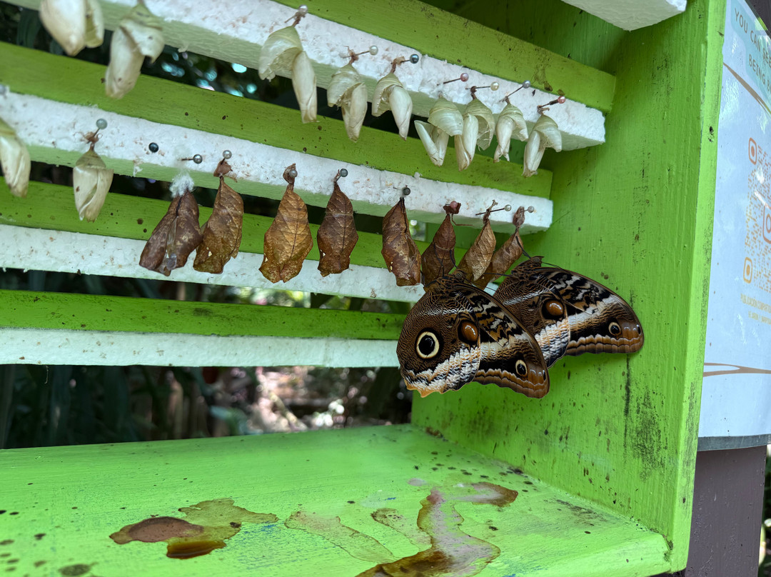 Guanacaste Traveler-Filadelfia必去景点