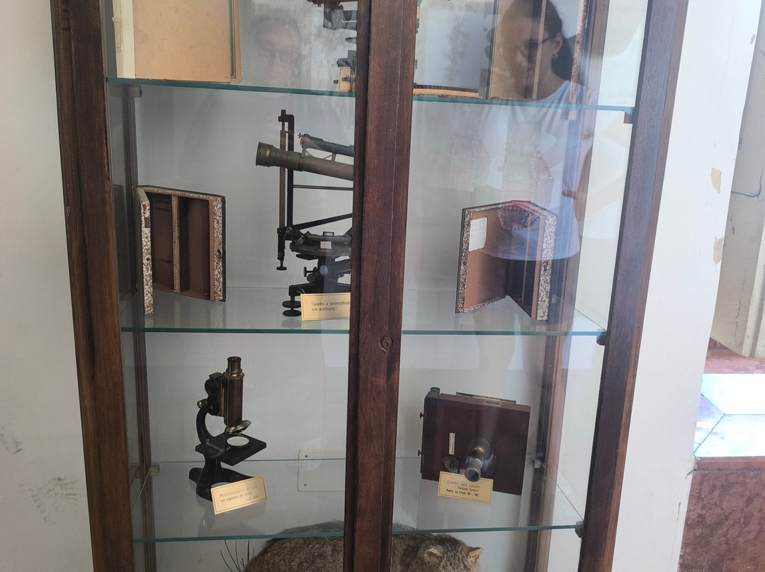 Reggia di Portici Herculanense Museum-Portici必去景点
