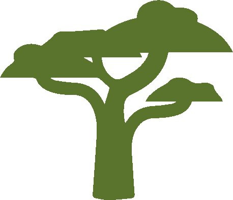 Madagaskarhaus Priori Reisen-巴塞尔必去景点