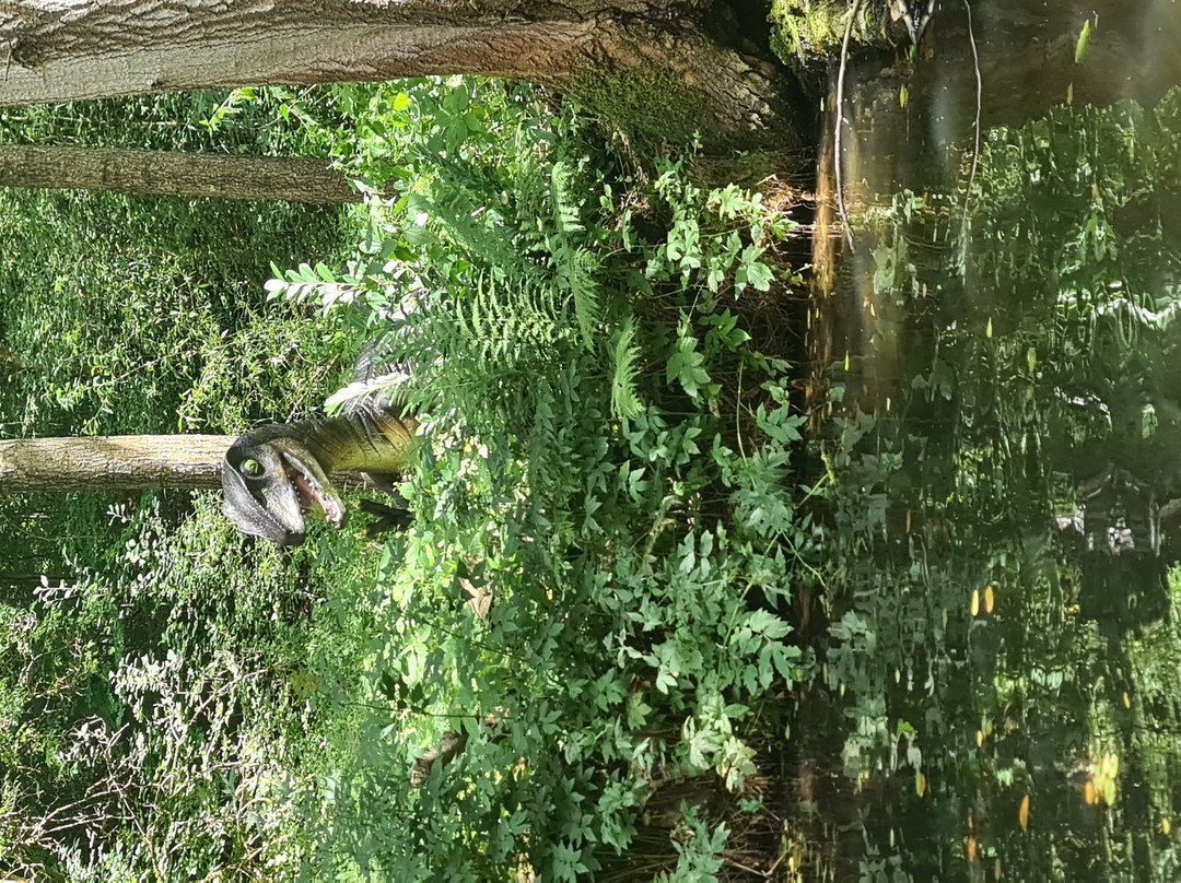 Freizeitpark Plohn-Lengenfeld必去景点