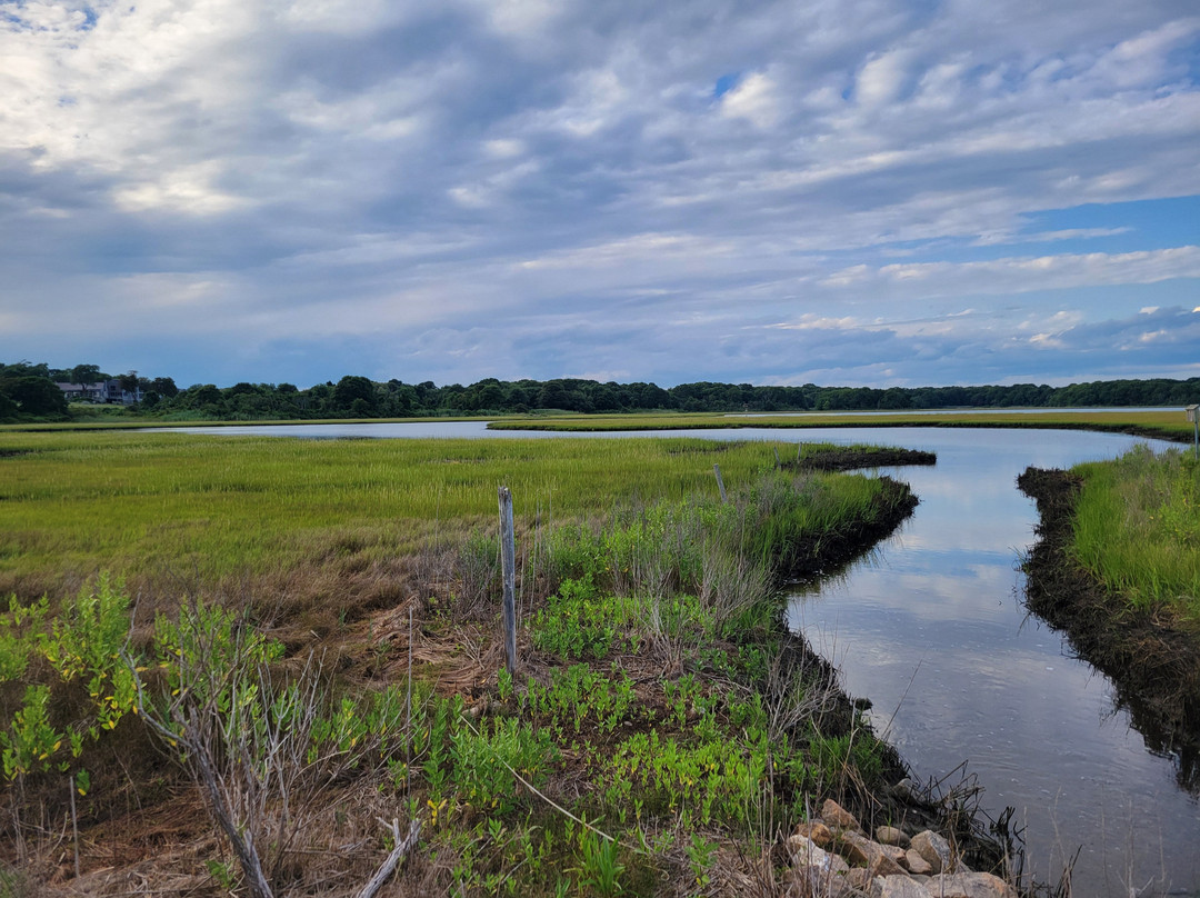 Allens Pond Wildlife Sanctuary-Westport必去景点