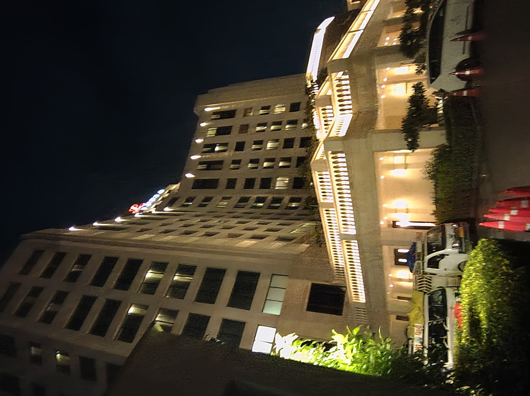 甘地讷格尔利拉酒店主图