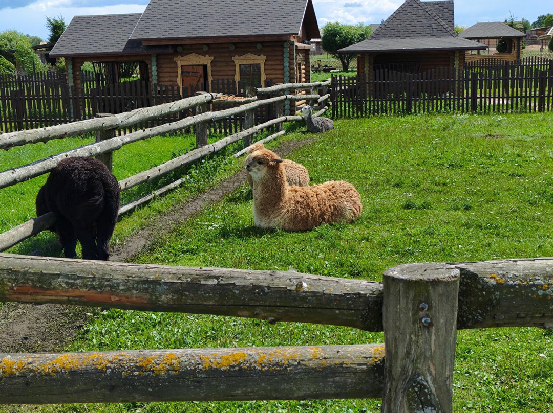 Animal Park-Baranovichi必去景点