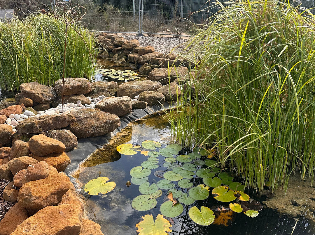 The Bug Parc-Lenwade必去景点