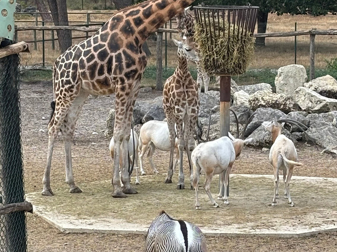 Zoo Bassin d'Arcachon-拉泰斯特德比克必去景点