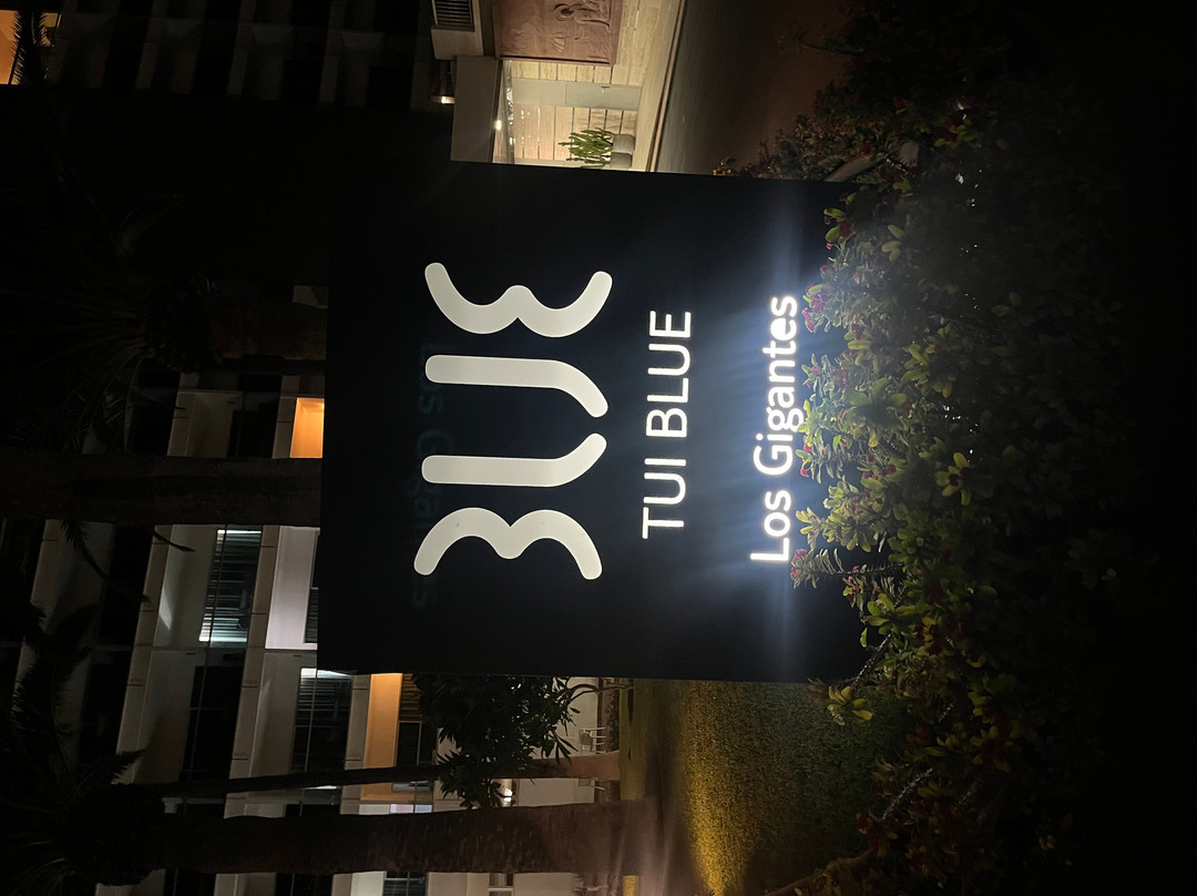 Tui Blue 洛斯吉甘特斯主图