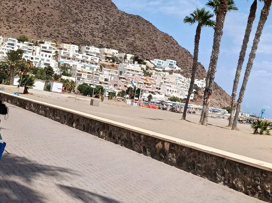 帕博海鸥旅馆主图