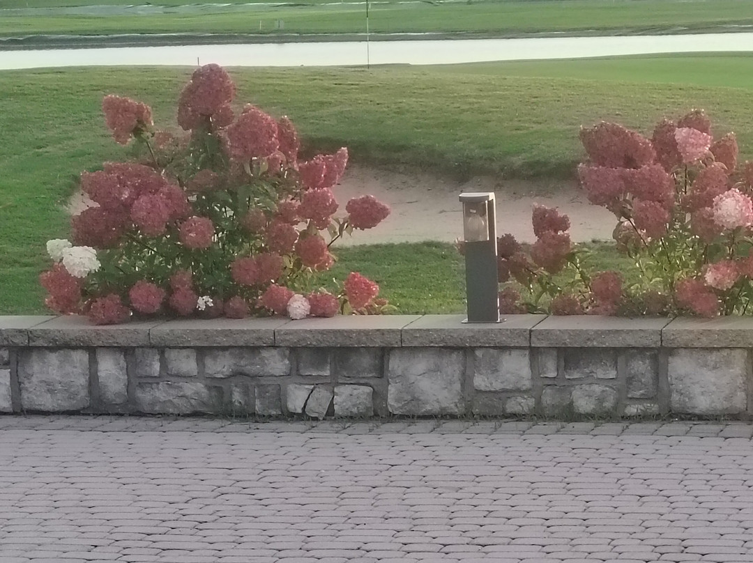 Kalinowe Pola Golf Village主图