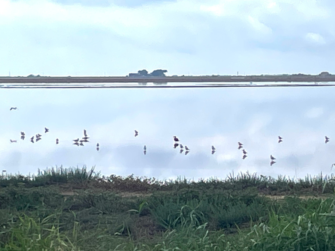 Safari Karine Cœur de Camargue-Montcalm必去景点