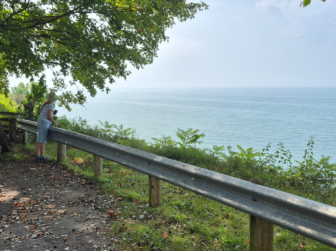 Pioneer Park-Bayfield必去景点