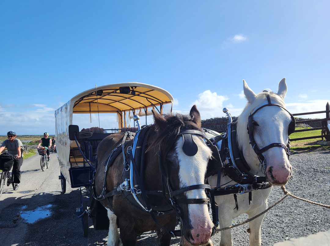 Thomas Faherty Tours-Inishmore必去景点