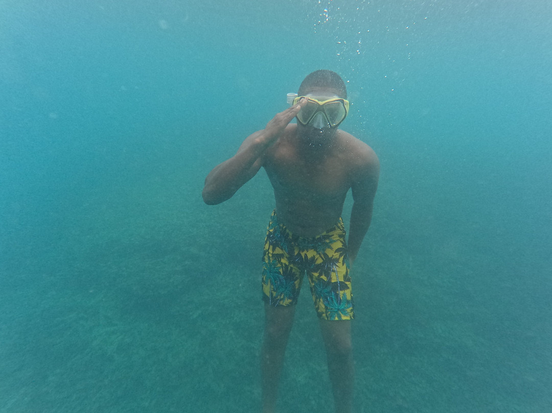 Shimoni Wasini Dolphin Destination-Wasini Island必去景点