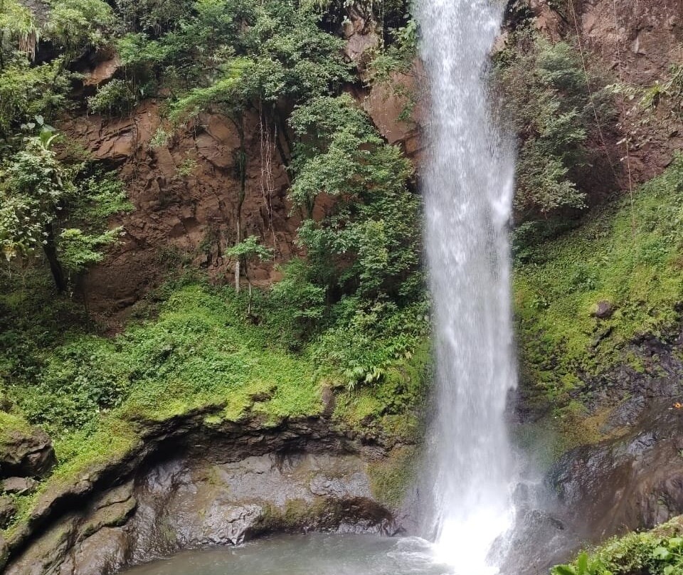Villa Tavida Lodge & Spa主图