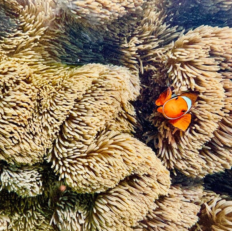 拉波波种植园度假村主图