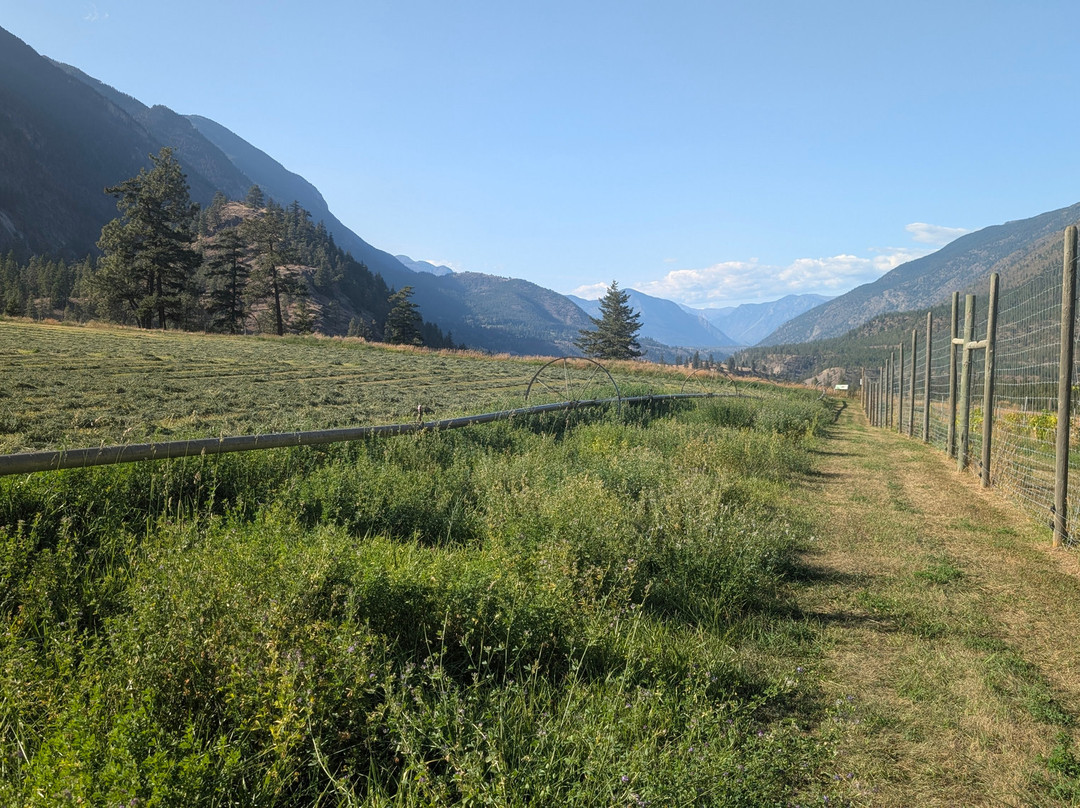 Cliff and Gorge Vineyards-Lillooet必去景点