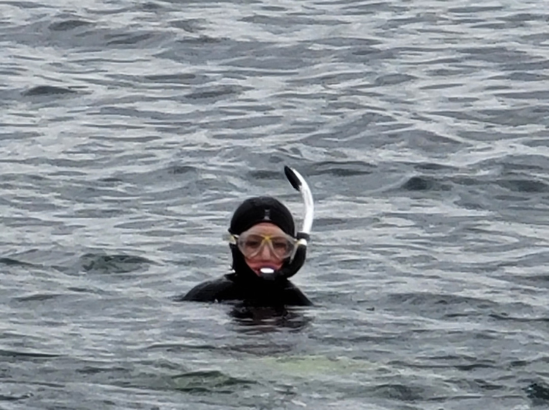 Kraken Diving-Birsay必去景点