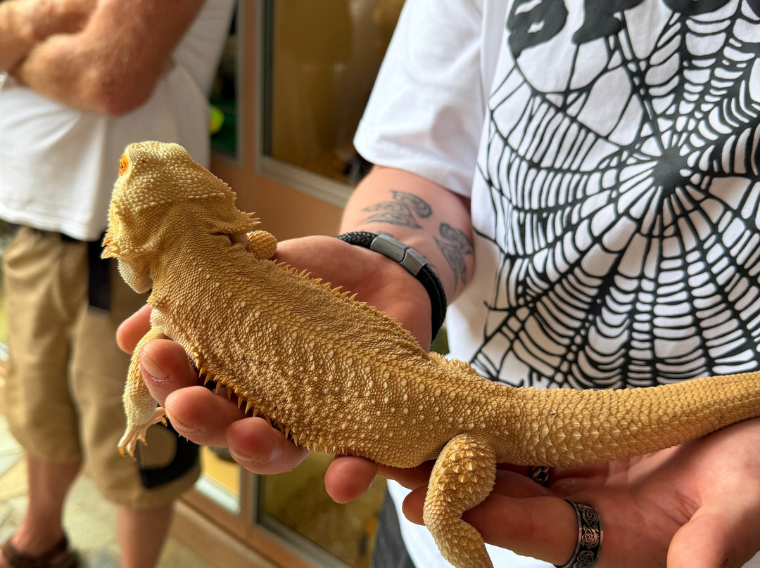 Aquaworld Aquarium & Reptile Rescue Centre-赫索尼索斯必去景点