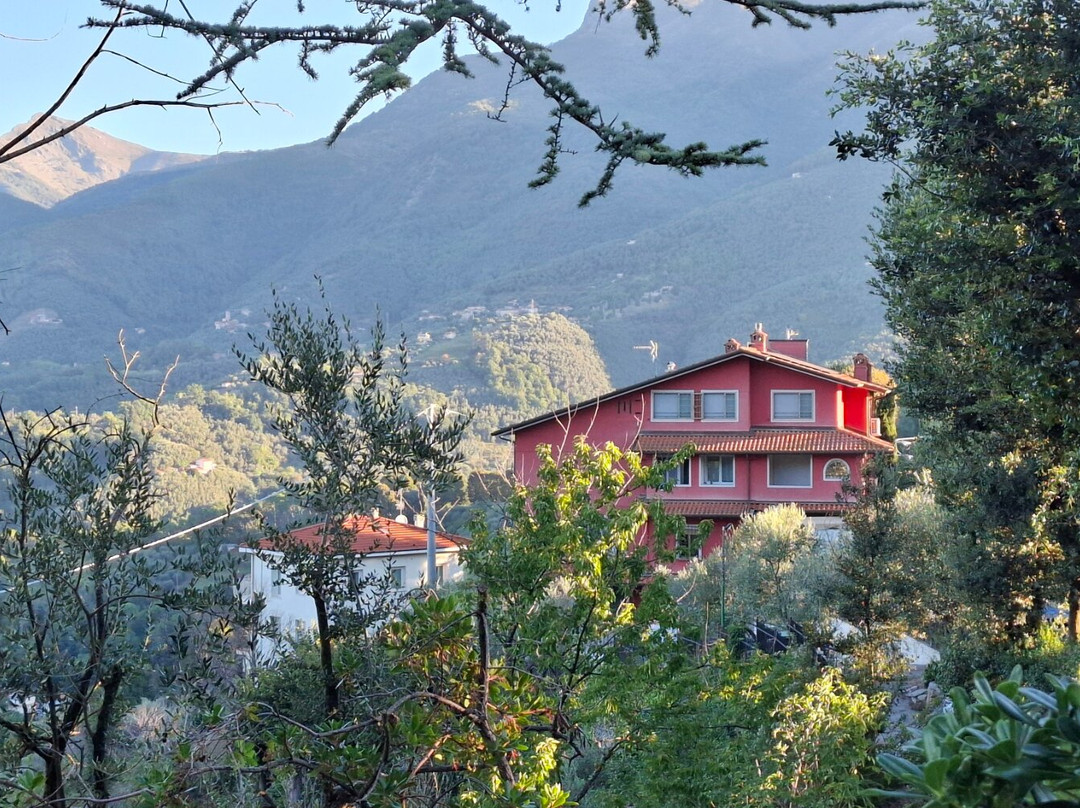 La Casa di ALice主图