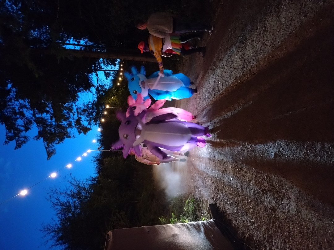 Camp Wildfire-Sevenoaks必去景点