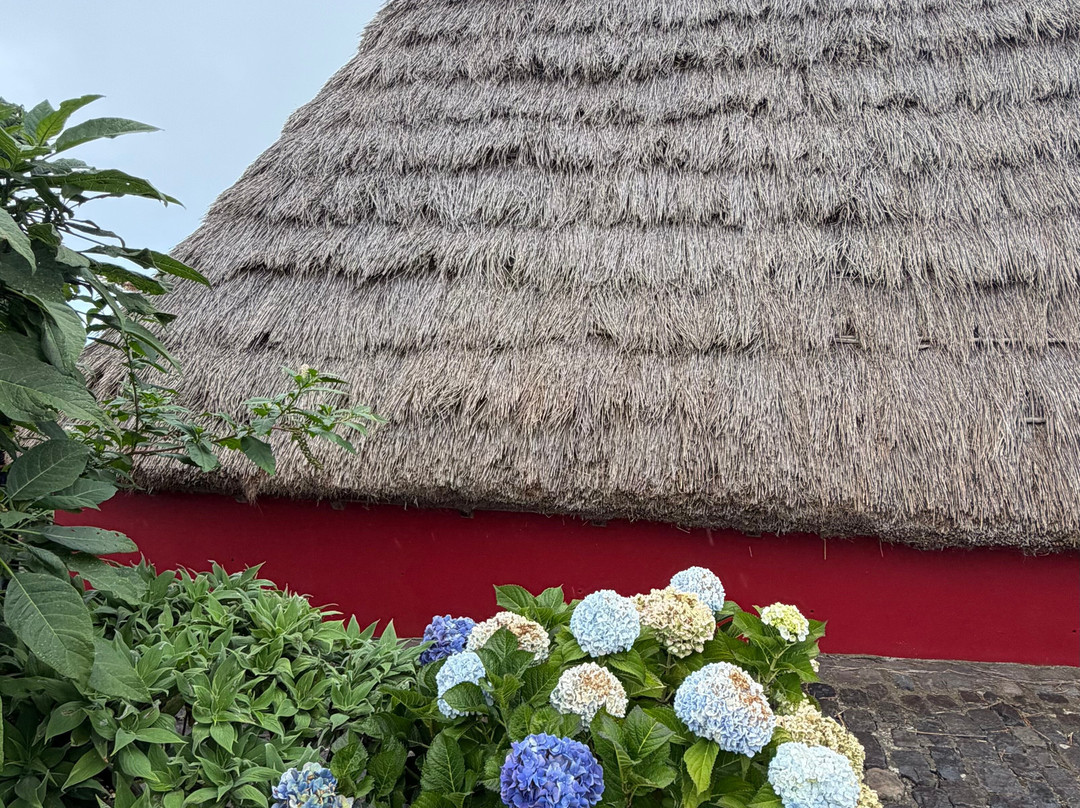 Casas Típicas de Santana-Santana必去景点
