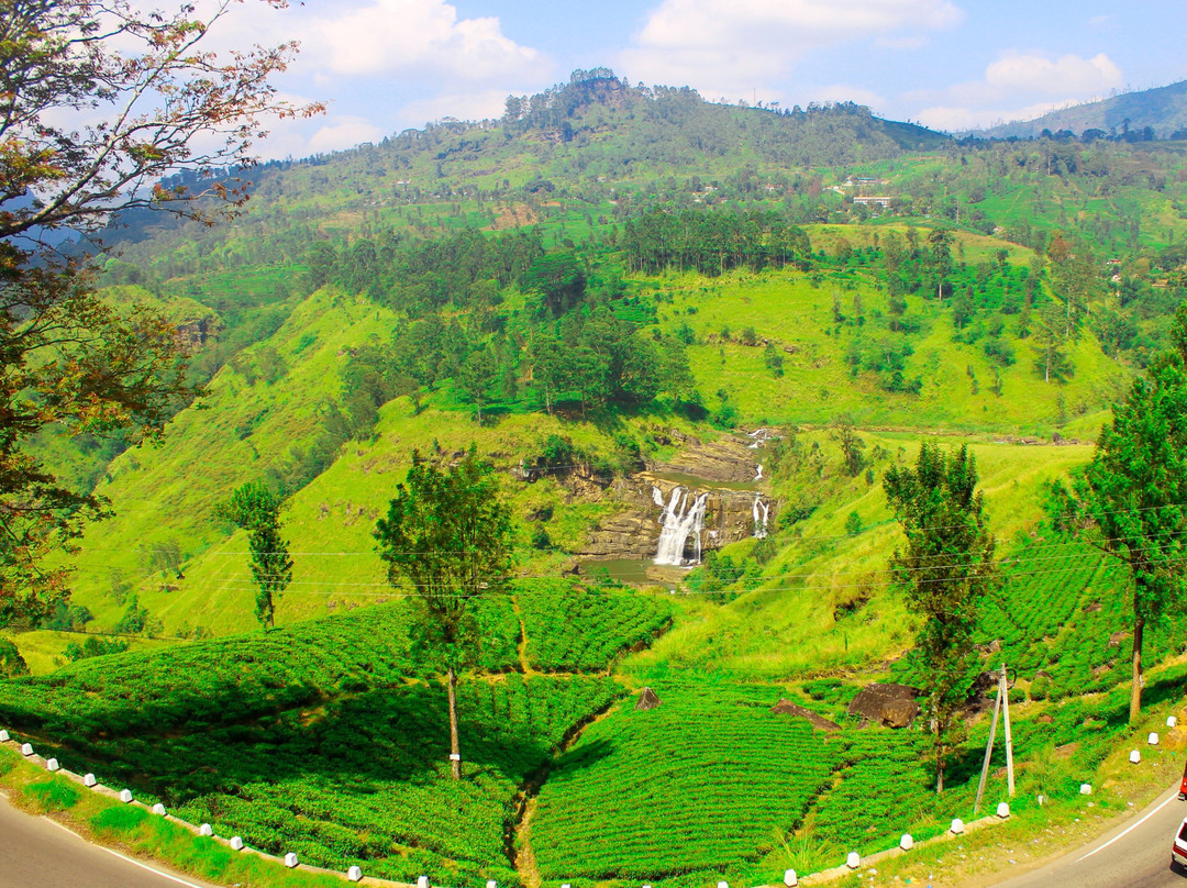 Yallah Ceylon Travels