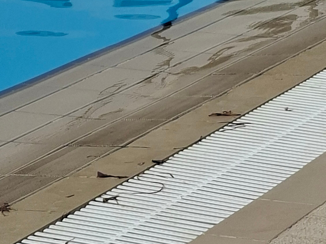 海景马赫迪耶酒店主图