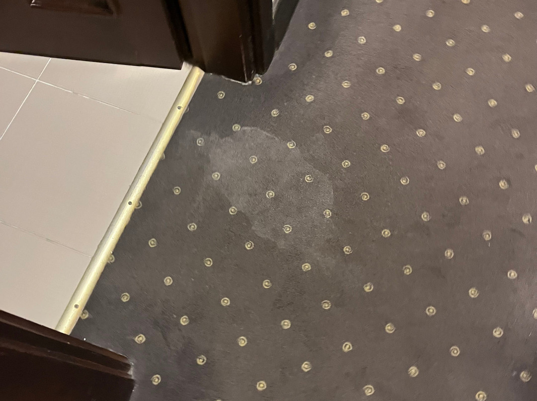 马加罗讷皇家酒店主图