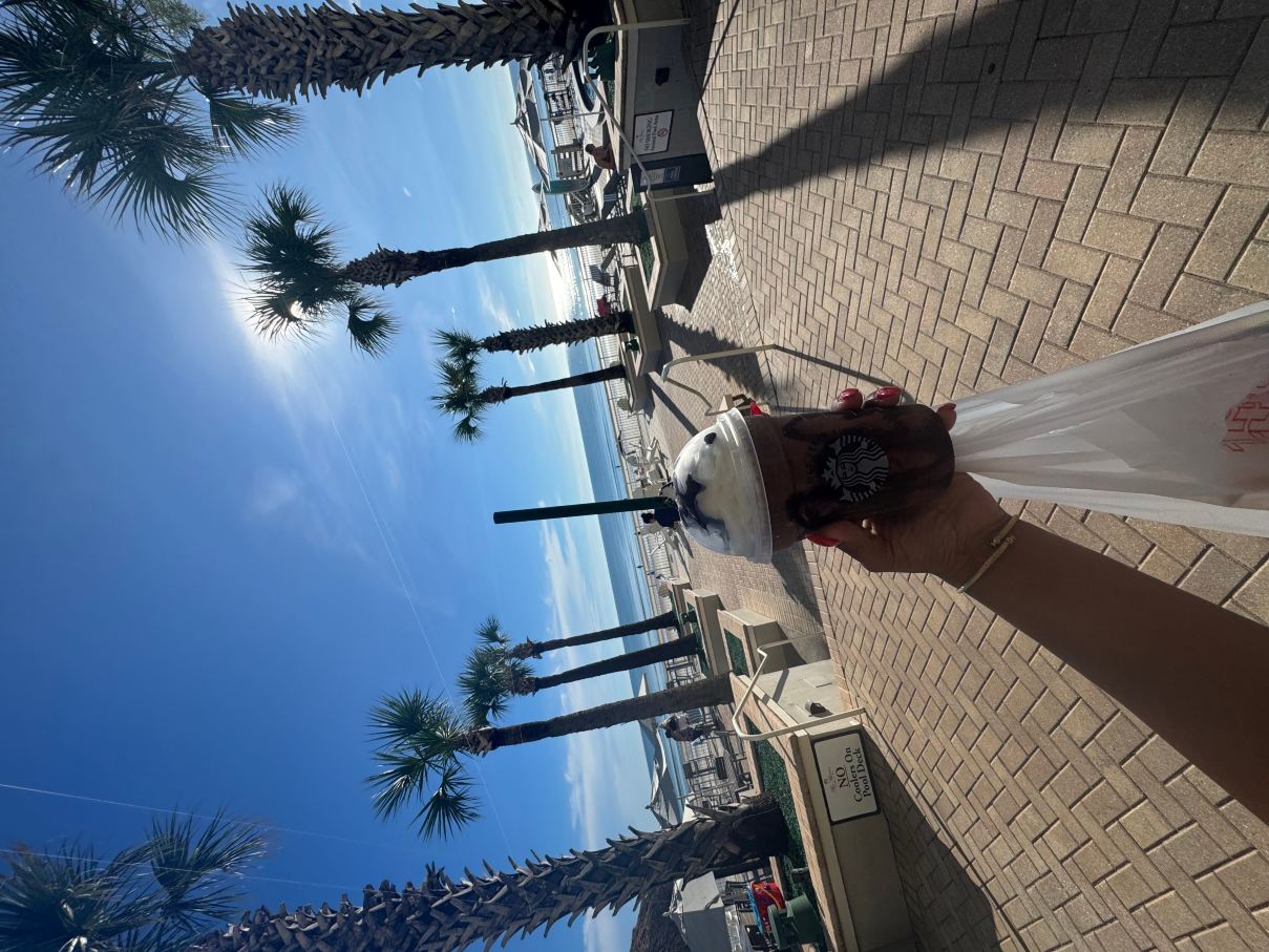 海岸温泉度假酒店-旅行者