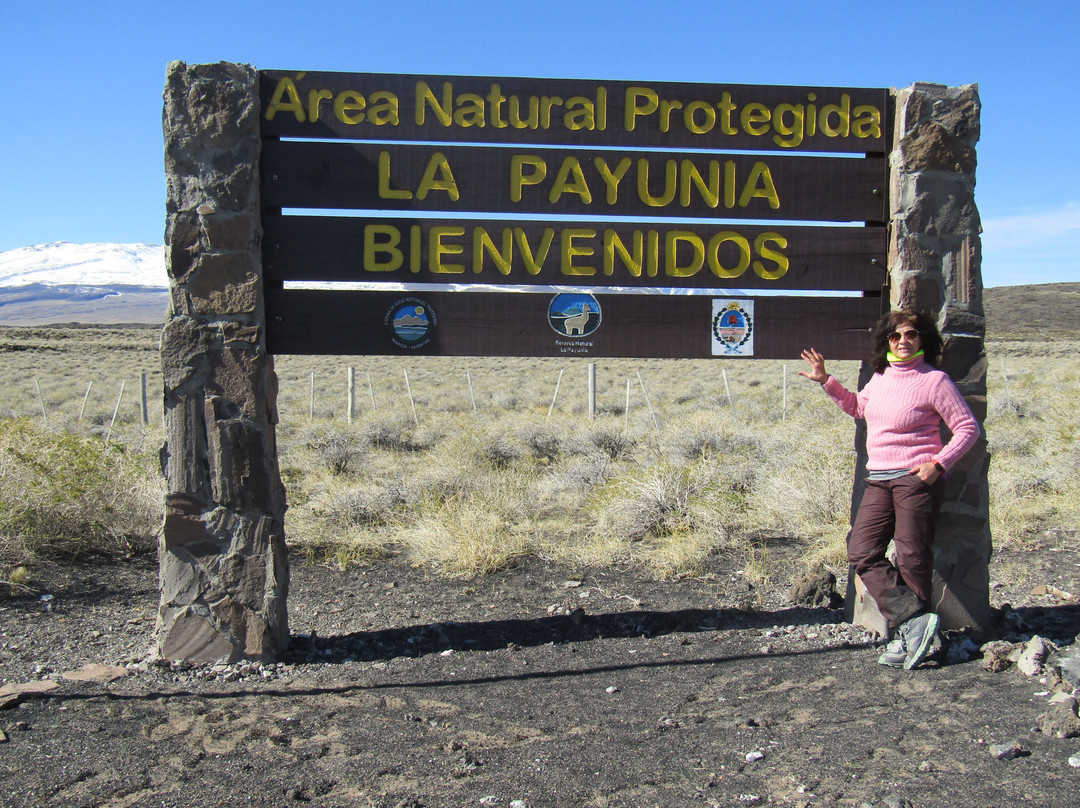 Reserva Provincial La Payunia-Malargue必去景点
