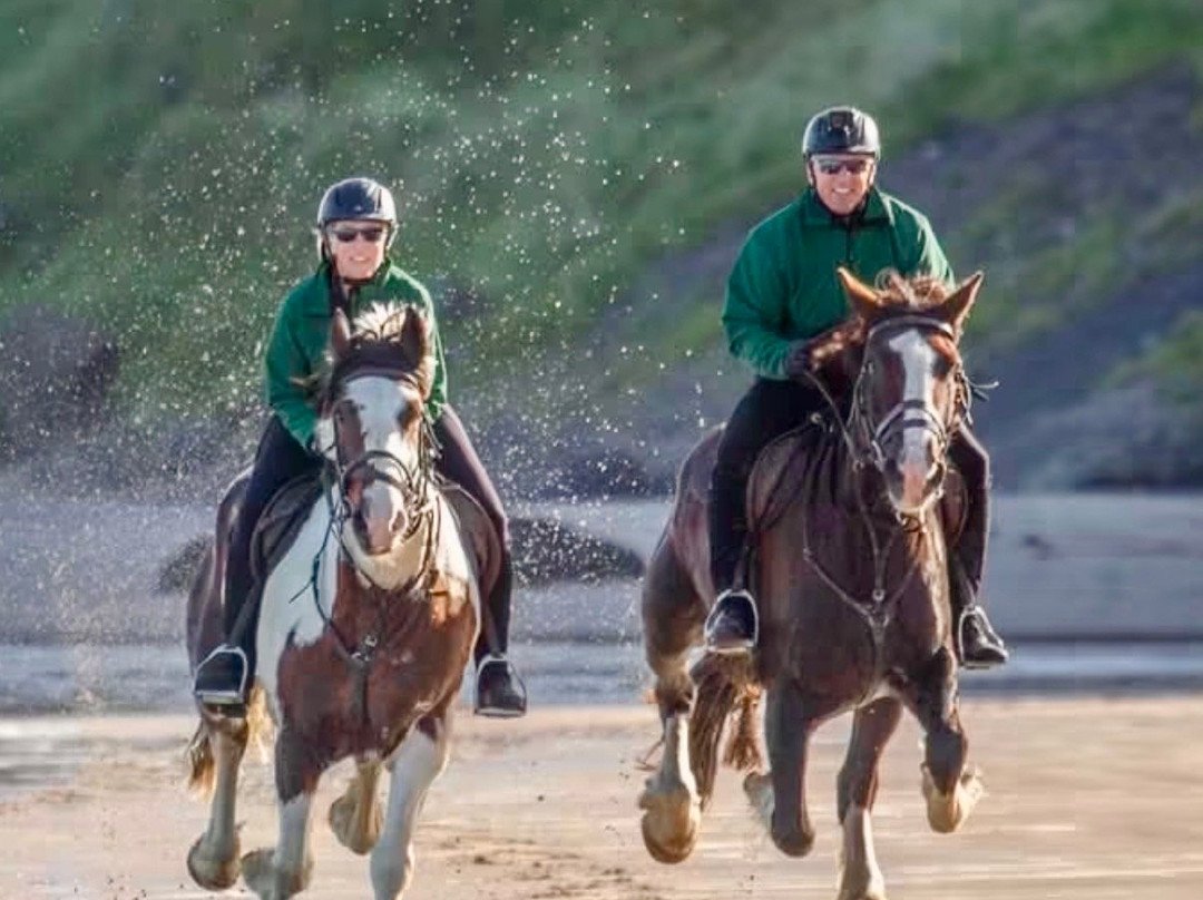 Bespoke Equestrian Ireland-都柏林必去景点
