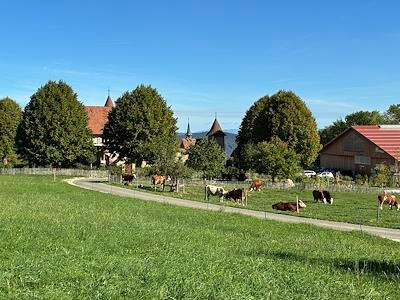 Château De Raymontpierre-Val Terbi必去景点