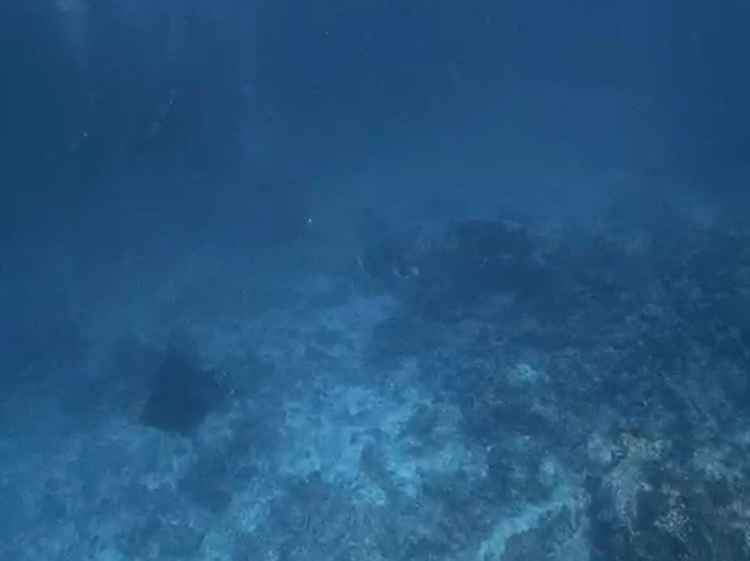 Euro-Divers Meeru-蜜月岛必去景点